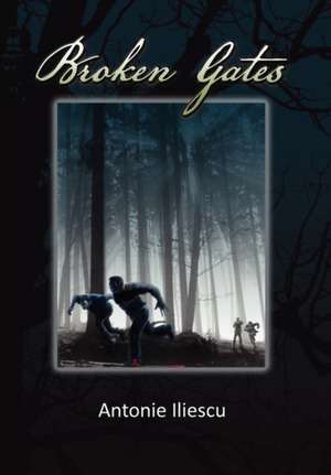 Broken Gates de Antonie Iliescu