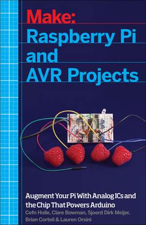 Raspberry Pi and AVR Projects de Cefn Hoile