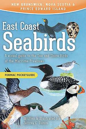 East Coast Seabirds de Jeffrey C Domm