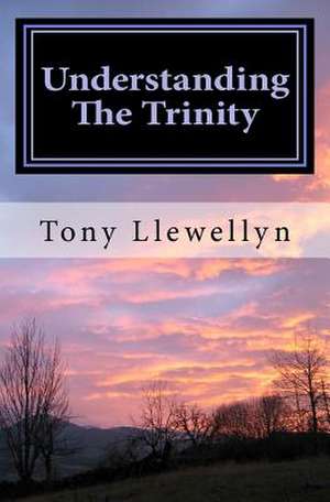 Understanding the Trinity de Tony Llewellyn