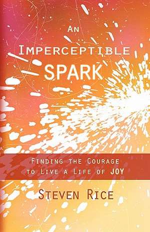 An Imperceptible Spark de Steven E. Rice