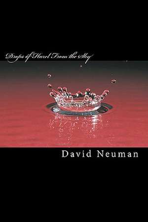 Drops of Hazel from the Sky de David Neuman