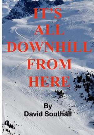 It's All Downhill from Here de MR David C. Southall