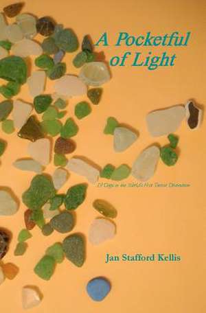 A Pocketful of Light de Jan Stafford Kellis