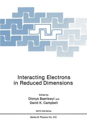 Interacting Electrons in Reduced Dimensions de Dionys Baeriswyl