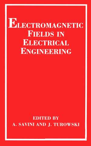 Electromagnetic Fields in Electrical Engineering de A. Savini