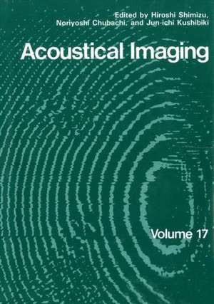 Acoustical Imaging de Hiroshi Shimizu