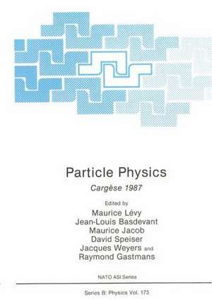 Particle Physics: Cargèse 1987 de Maurice Levy