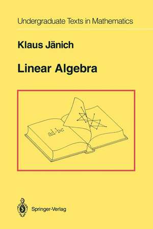 Linear Algebra de Klaus Jänich