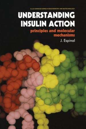 Understanding Insulin Action: Principles and Molecular Mechanisms de J. Espinal