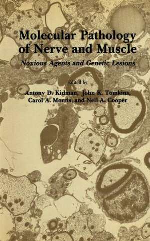 Molecular Pathology of Nerve and Muscle: Noxious Agents and Genetic Lesions de Antony D. Kidman