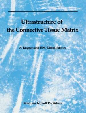 Ultrastructure of the Connective Tissue Matrix de P. Motta