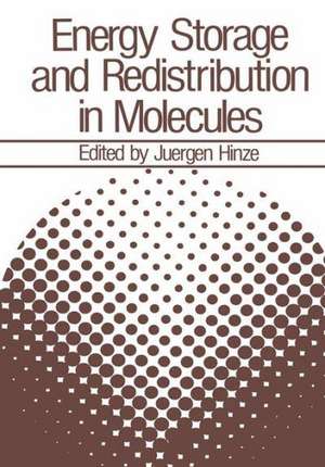 Energy Storage and Redistribution in Molecules de Jürgen Hinze