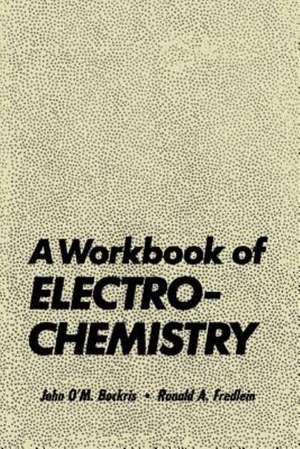 A Workbook of Electrochemistry de John Bockris