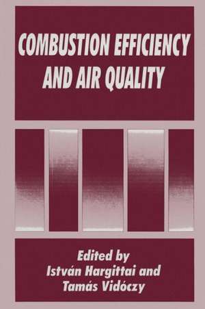 Combustion Efficiency and Air Quality de Istvan Hargittai