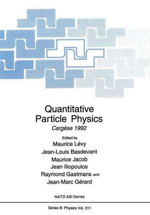 Quantitative Particle Physics: Cargèse 1992 de Maurice Lévy