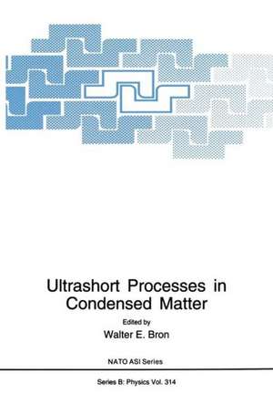 Ultrashort Processes in Condensed Matter de Walter E. Bron