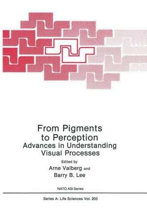 From Pigments to Perception: Advances in Understanding Visual Processes de Arne Valberg