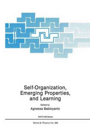 Self-Organization, Emerging Properties, and Learning de Agnessa Babloyantz