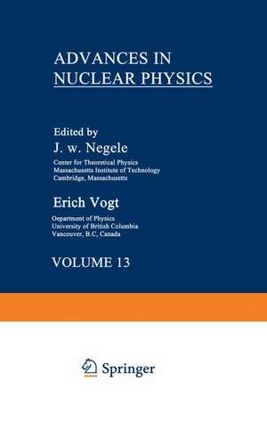 Advances in Nuclear Physics: Volume 13 de John Negele
