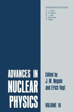 Advances in Nuclear Physics: Volume 19 de J.W. Negele