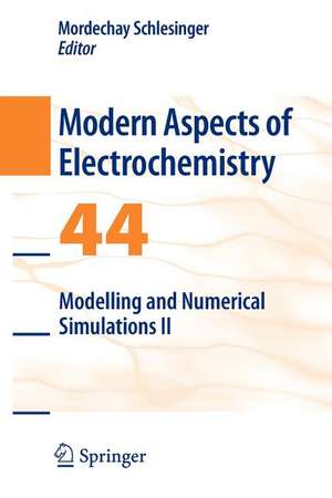 Modelling and Numerical Simulations II de Mordechay Schlesinger