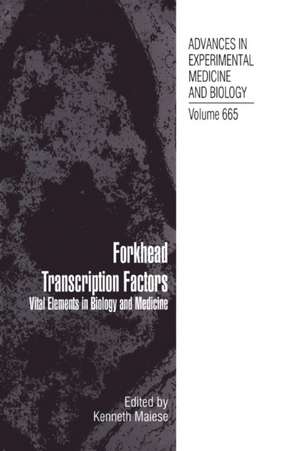 Forkhead Transcription Factors: Vital Elements in Biology and Medicine de Kenneth Maiese