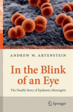 In the Blink of an Eye: The Deadly Story of Epidemic Meningitis de Andrew W. Artenstein