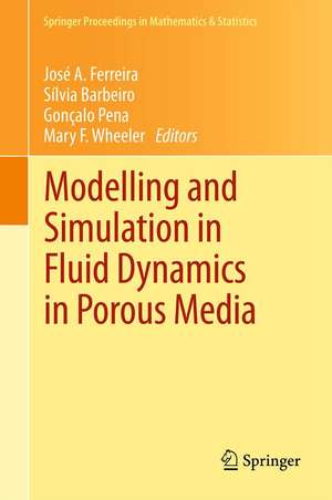 Modelling and Simulation in Fluid Dynamics in Porous Media de José A. Ferreira