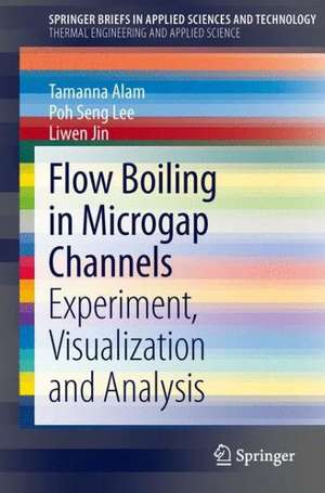 Flow Boiling in Microgap Channels: Experiment, Visualization and Analysis de Tamanna Alam