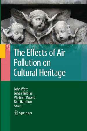 The Effects of Air Pollution on Cultural Heritage de John Watt