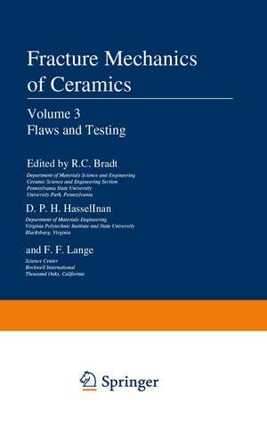 Flaws and Testing de R. C. Bradt