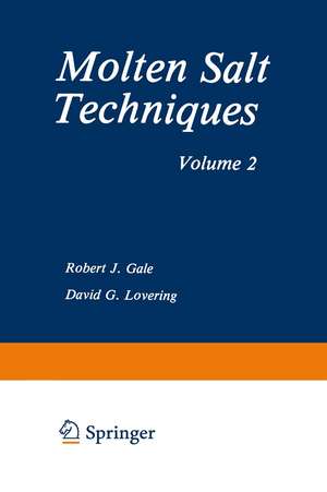 Molten Salt Techniques: Volume 2 de Robert J. Gale
