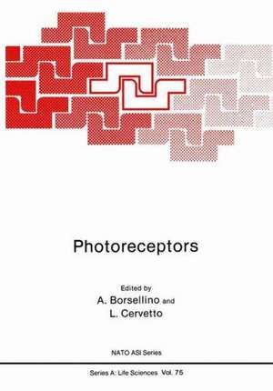 Photoreceptors de Antonio Borsellino