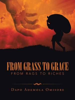 From Grass to Grace: From Rags to Riches de Dapo Ademola Omisore