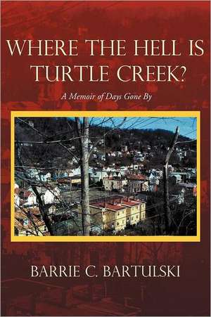 Where the Hell Is Turtle Creek? de Barrie C. Bartulski