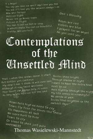 Contemplations of the Unsettled Mind de Thomas Wasielewski-Mannstedt