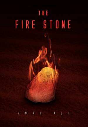 The Fire Stone de Amar Ali