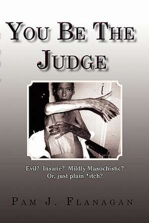 You Be the Judge de Pam J. Flanagan