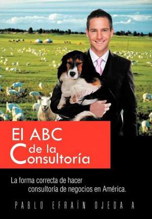 El ABC de La Consultoria de Pablo Ojeda