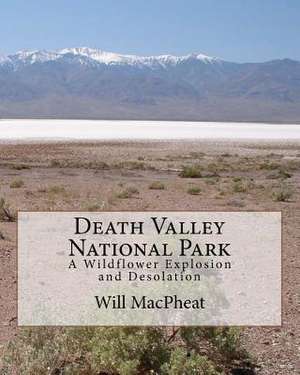 Death Valley National Park de Will Macpheat