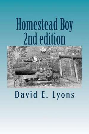 Homestead Boy de David E. Lyons