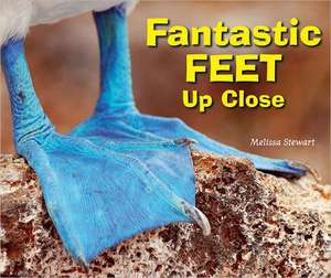 Fantastic Feet Up Close de Melissa Stewart