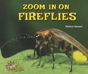 Zoom in on Fireflies de Melissa Stewart