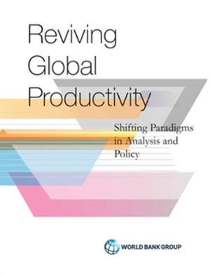 Productivity Revisited de Ana Paula Cusolito