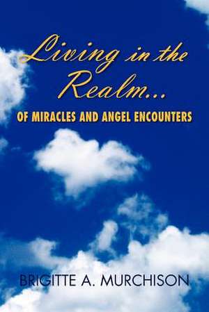 Living in the Realm of Miracles and Angel Encounters de Brigitte A. Murchison