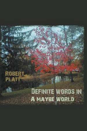 Definite Words in a Maybe World de Robert Platt