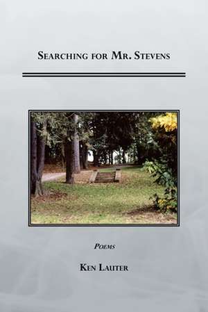 Searching for Mr. Stevens de Ken Lauter