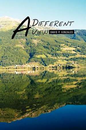 A Different View de David P. Gonzales