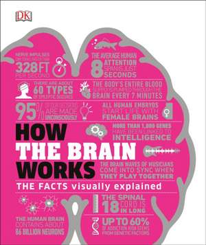 How the Brain Works de Dk